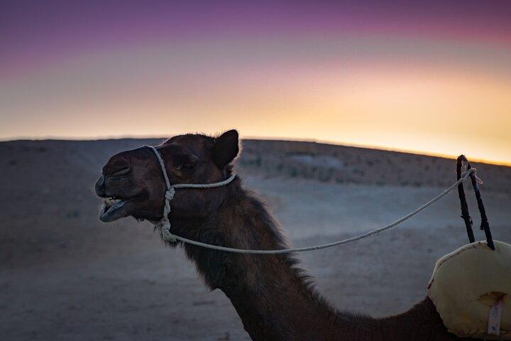 Camel Ride and Dinner in the Agafay Desert with Transportation