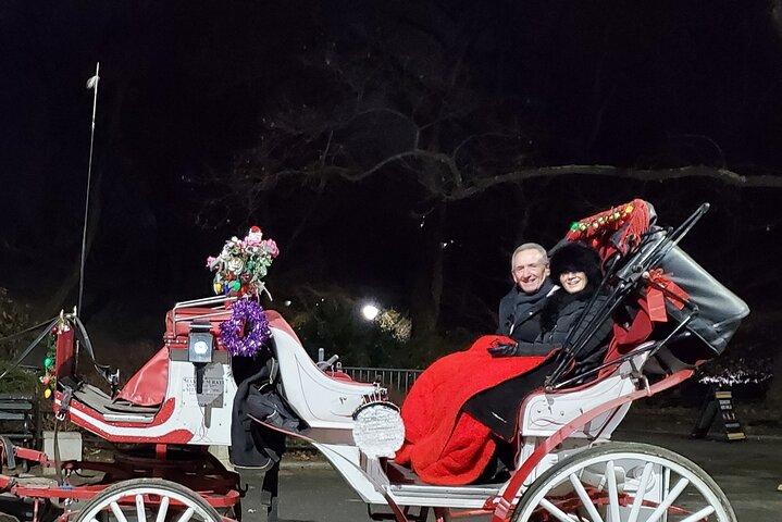 ニューヨーク市のプライベート クリスマス ライト馬車ツアー