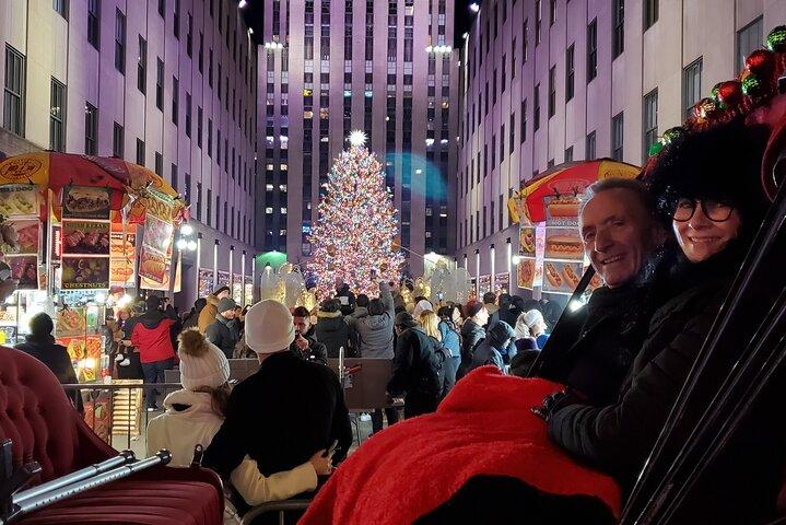 ニューヨーク市のプライベート クリスマス ライト馬車ツアー