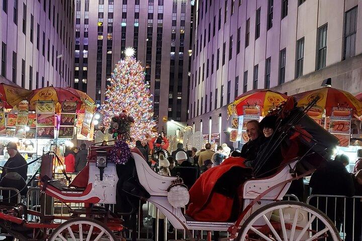 ニューヨーク市のプライベート クリスマス ライト馬車ツアー