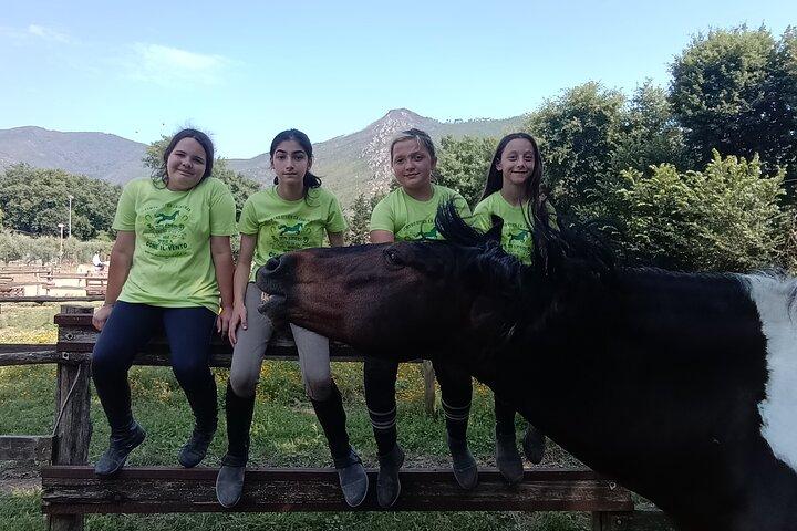 paseos a caballo para niños