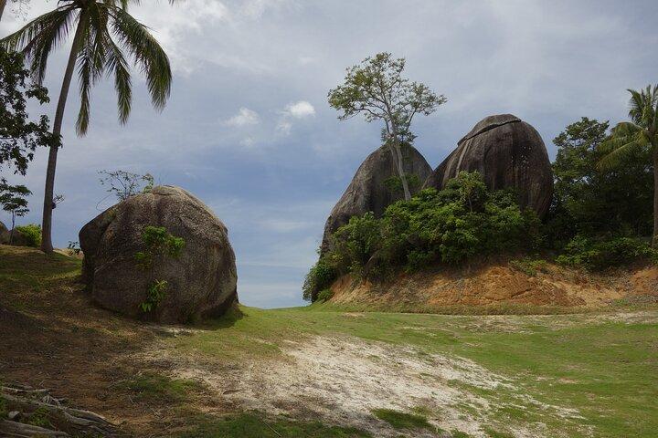 Private Tour Dschungelsafari ab Koh Samui