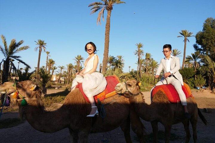 Camel ride through agafay desert