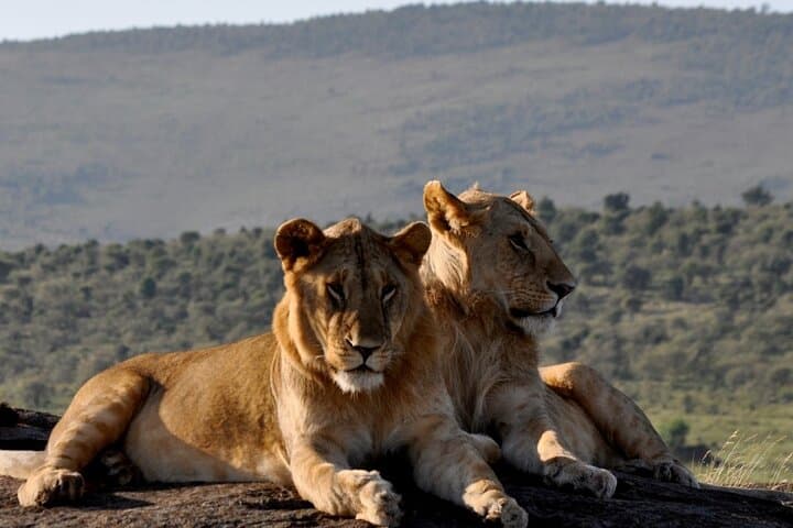 3 Days Private Tsavo East and West with Mzima Springs Safari
