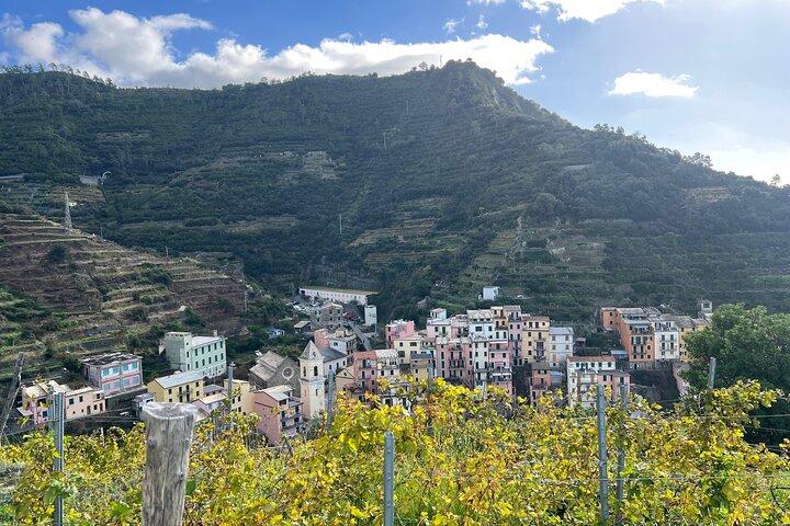 Excursão guiada semiprivada de caminhada em Cinque Terre saindo de Florença