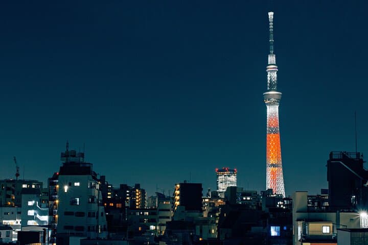 Tokyo Full-Day Private Tour (Customizable)