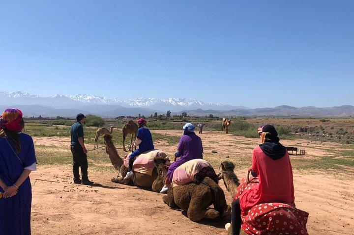 Agafay Desert: Excursion Camel Ride, dinner and Show