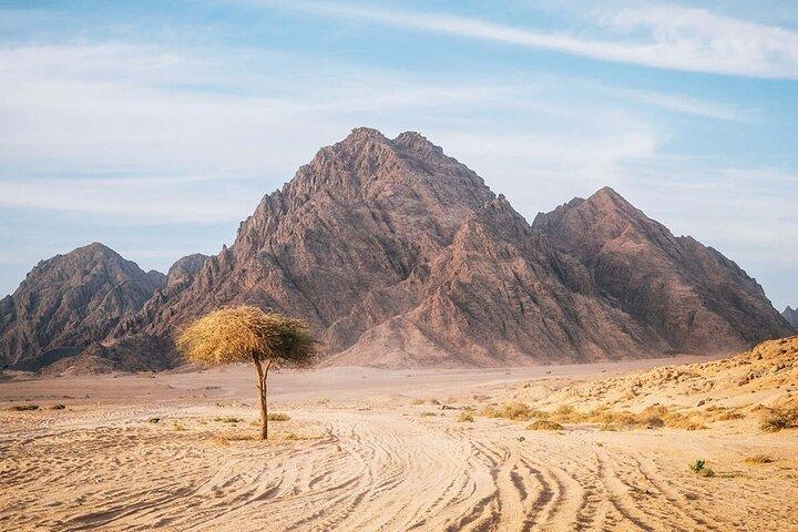 Coche privado de aventura en el desierto del Sinaí desde Sharm El Sheikh