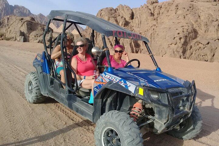 Coche privado de aventura en el desierto del Sinaí desde Sharm El Sheikh