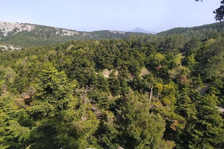 1 Day Parnitha Athens Private Hiking Tour with Hotel Pickup