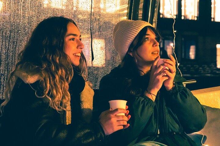 アムステルダム： 無制限のドリンクと軽食のオプションを備えた光の祭りのボート