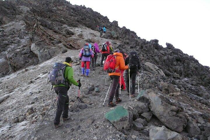 Tour de un día Marangu Kilimanjaro