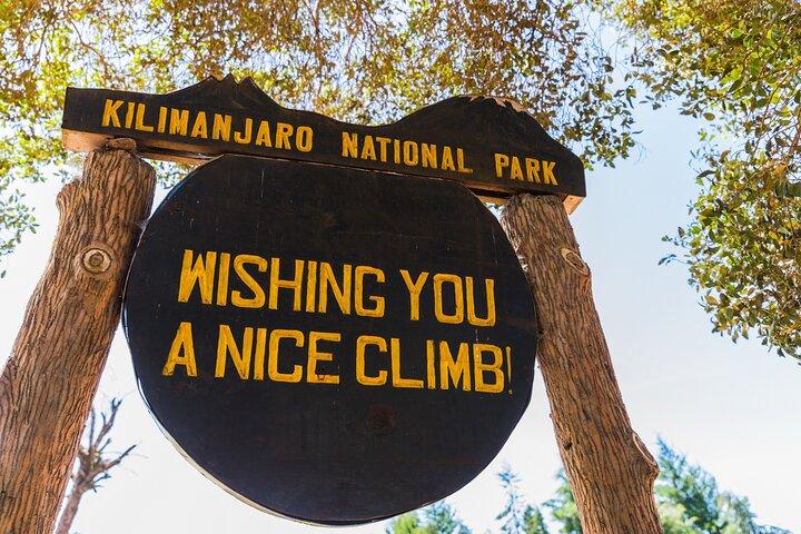Tour de un día Marangu Kilimanjaro