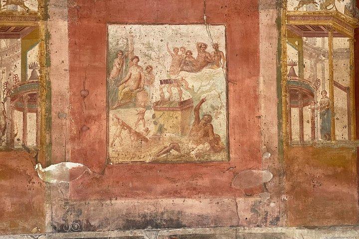 Pompeii, Vesuvius & wine tasting from Positano all inclusive