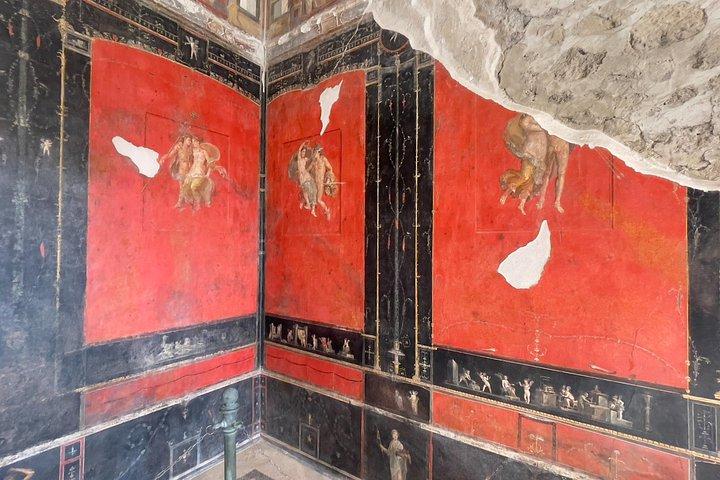 Pompeii, Vesuvius & wine tasting from Positano all inclusive