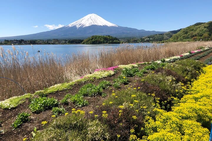 Full Day Mt.Fuji Tour , From/To Tokyo, Yokohama, 2- 12 guests