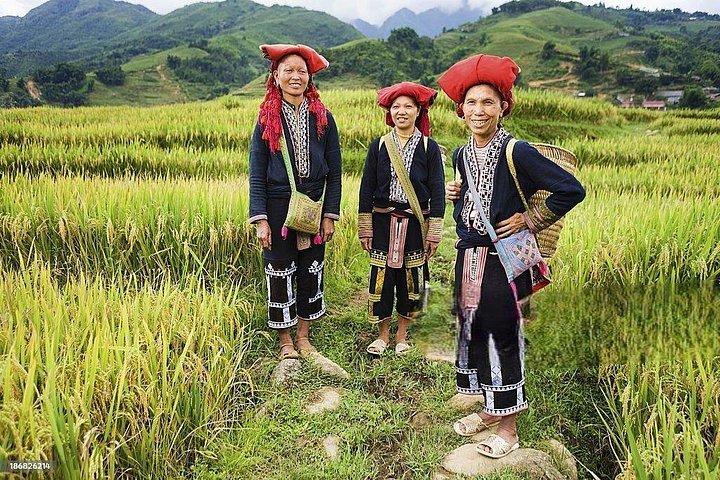 6～8日ベトナム旅程|壮大な|ベスト2026北部