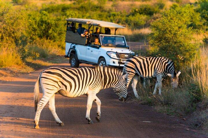 3-stündige Safari-Tour im Pilanesberg-Nationalpark