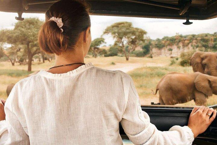 Safari Game Drive programmé de 3 heures dans le parc national du Pilanesberg