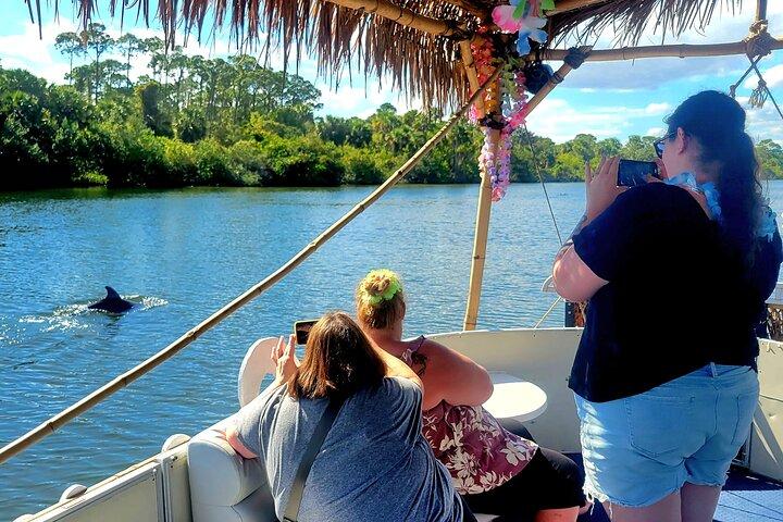 2 hour Dolphin Sightseeing Tour in Melbourne Florida