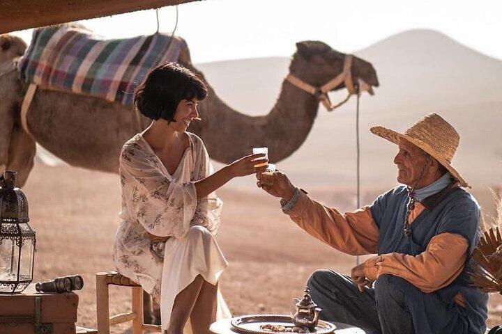 Marrakech Agafay Desert Sunset Camel ride Dinner Show & Pick-up