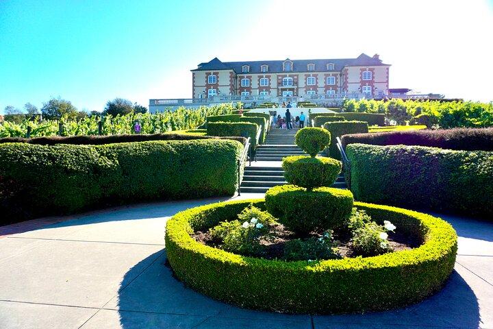 Wine Tour Transportation Services in Napa Valley