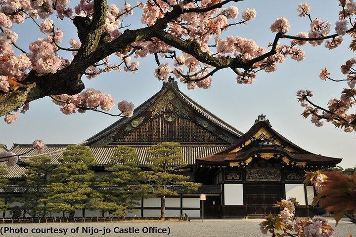 Tagesausflug von Osaka nach Kyoto und Nara