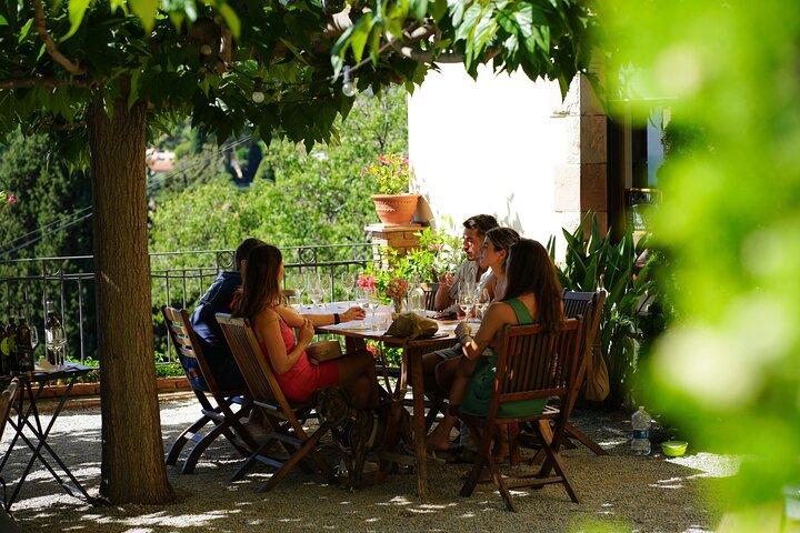 Una Boutique Winery Experience E-Bike, Vela o Auto da Barcellona