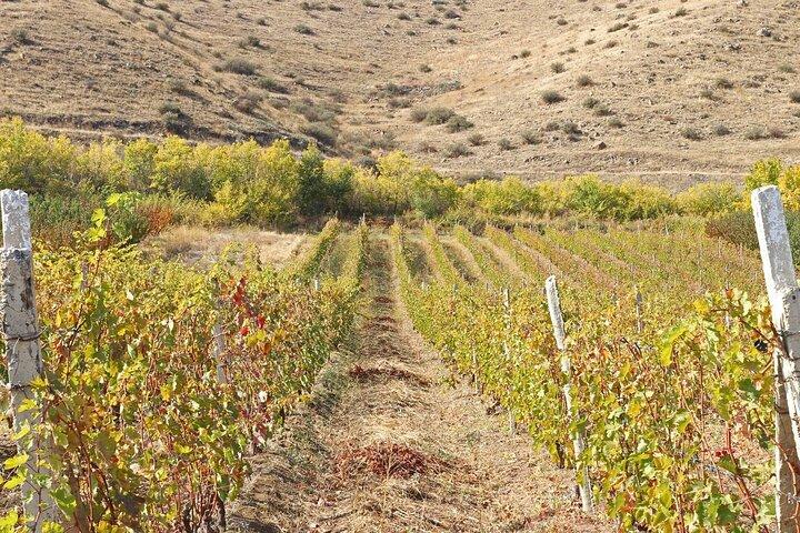 Visite de Vayots Dzor Noravank Khor Virap Areni Wine Apprenez un métier Arménie Randonnée