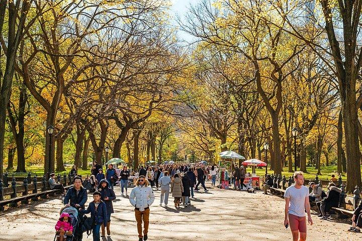 Central Park privat pedicab-tur (60 minutter)