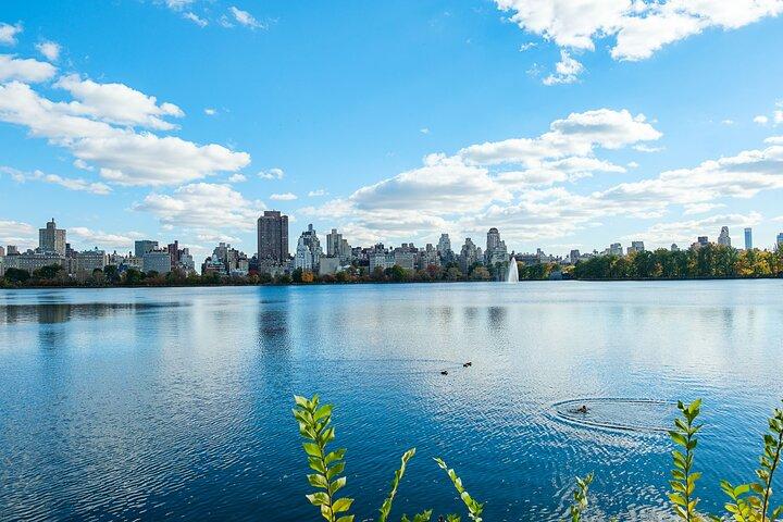 Central Park Private Pedicab Tour (2hrs)