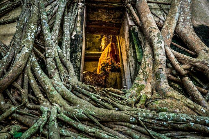 Bangkok : Amphawa Float Market & Maeklong Railway Evening Tour