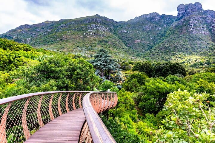 Kirstenbosch and Table Mountain Tour
