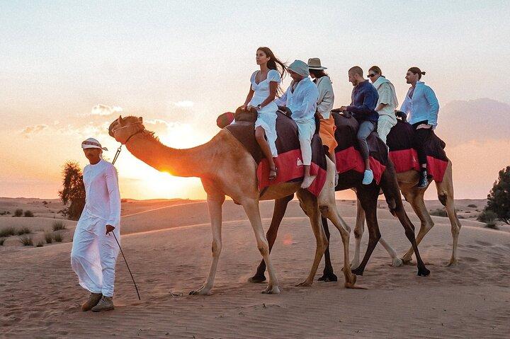 VIP privé-woestijnsafari van een halve dag in Dubai
