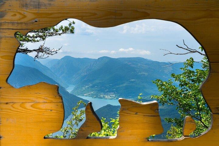 Excursión de un día completo desde Belgrado: Parque Nacional Tara y el valle del río Drina