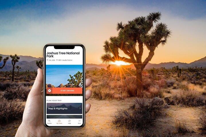 Selvstyret lydtur i Joshua Tree National Park