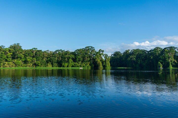Tortuguero: tour in canoa, escursione giornaliera, tour in collina, tour notturno o tour della deposizione delle uova