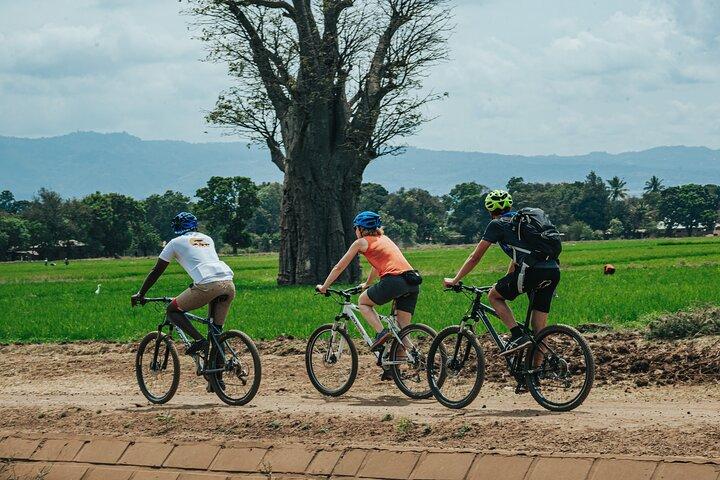 Cycle to Scenic Kikuletwa Hotspring