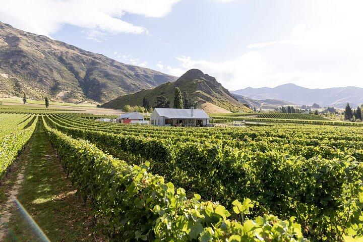 Bekroonde Premium Wijntour Queenstown Proeverij bij 4 Wijnhuizen