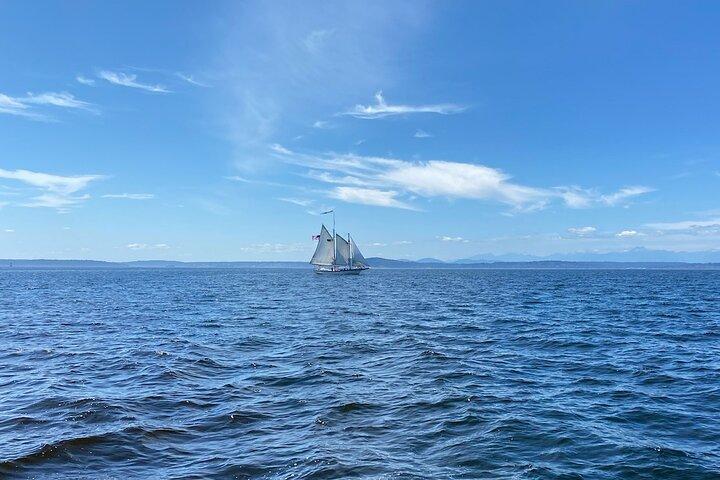 Seattle Sailing Harbor-tour