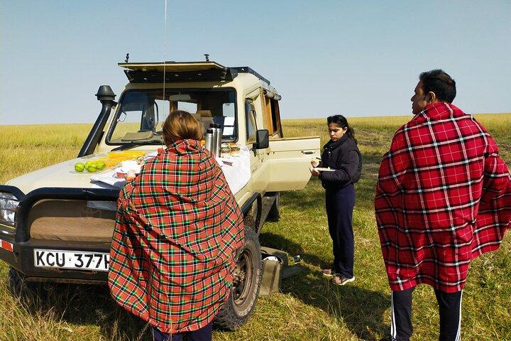 3 Tage „Best of MasaiMara Wildlife Private Safari“, Mittelklasse-Angebot