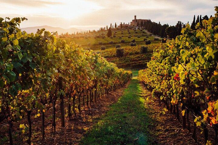 Winery Tour and tasting