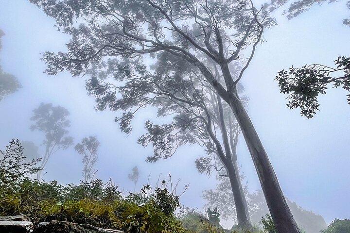 Nandi Trail Tour