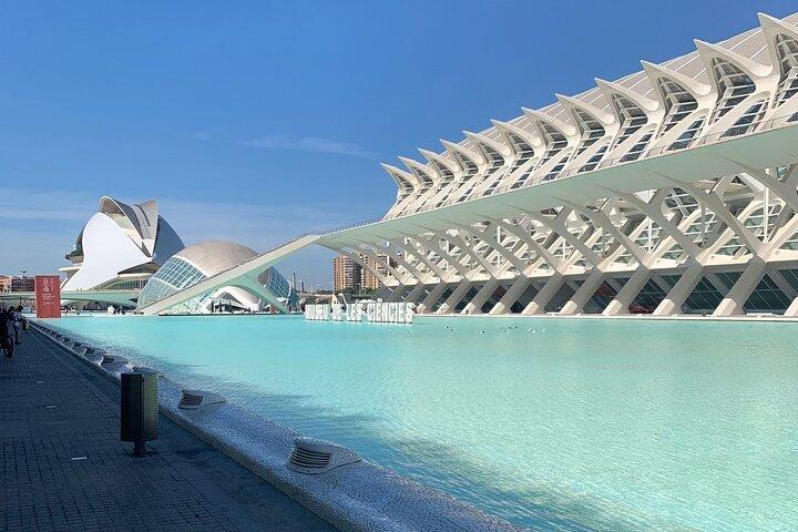 Desde Albir, Benidorm & Calpe : Excursión de un día a Valencia Ciudad