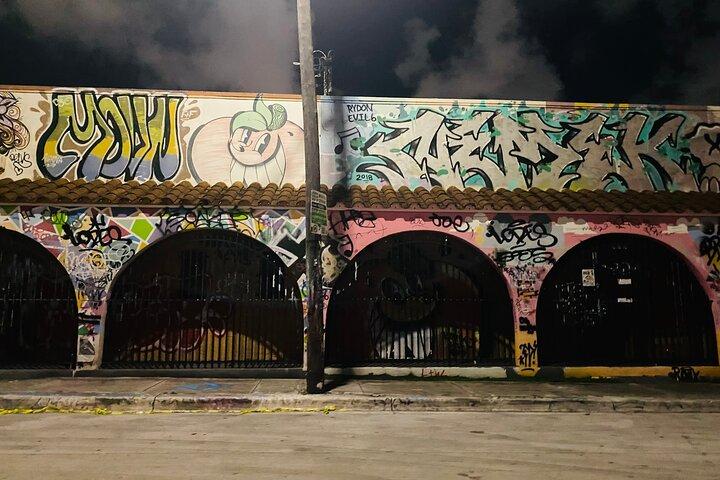 Wynwood Graffiti Golf Cart Tour After Dark