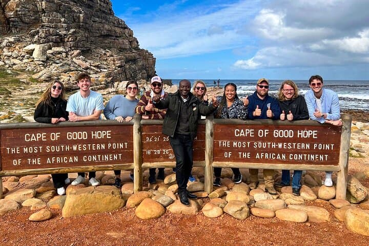 Cape Point, Penguins & Wine Tasting In Constantia Full Day Tour