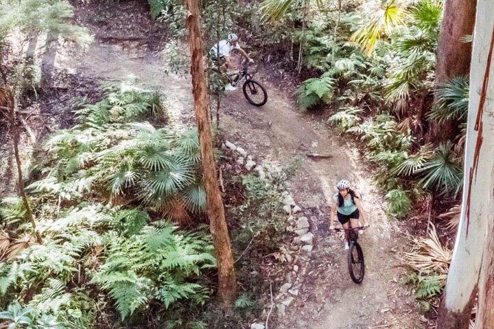 Noosa eMtn Bike Tour: Erkundung eines Nationalparks auf unterhaltsamen MTB-Strecken