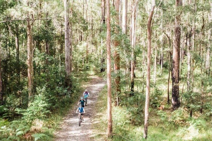 Noosa eMtn Bike Tour: Erkundung eines Nationalparks auf unterhaltsamen MTB-Strecken
