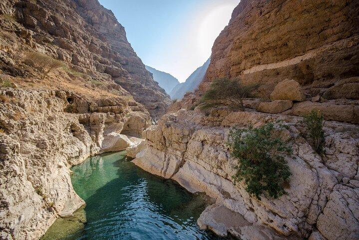 Ganztägige private Tour im Wadi Shab ab Maskat