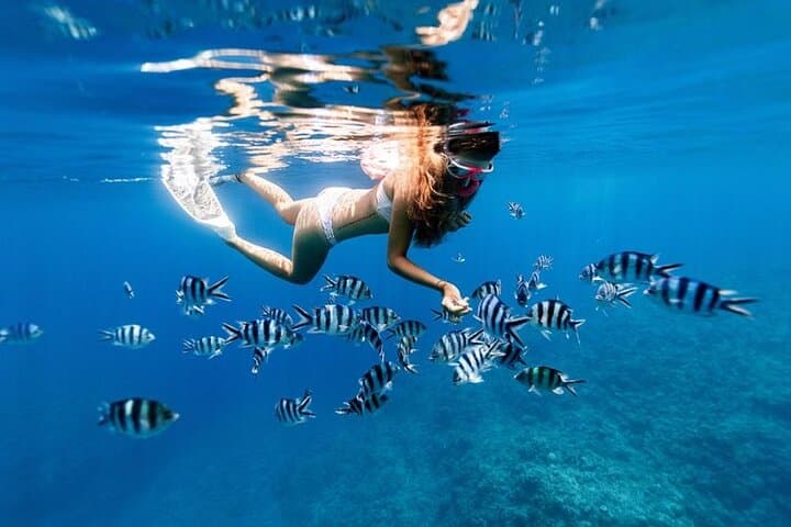 Full Day Private Zanzibar Tour with Sunset Beach